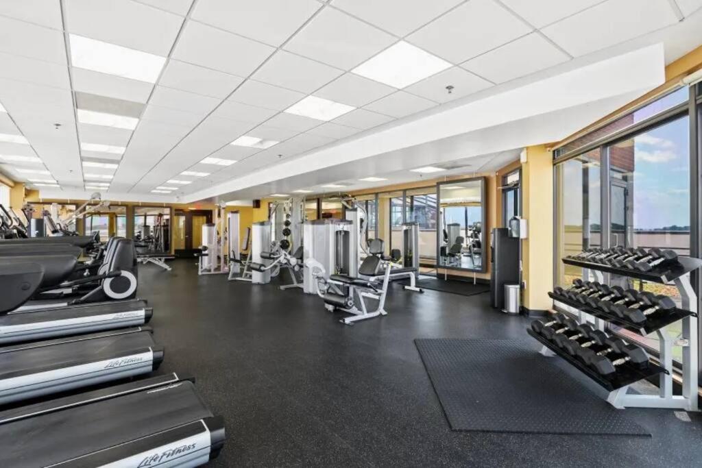 Incredible Apartment With Rooftop In Pentagon City Arlington Buitenkant foto